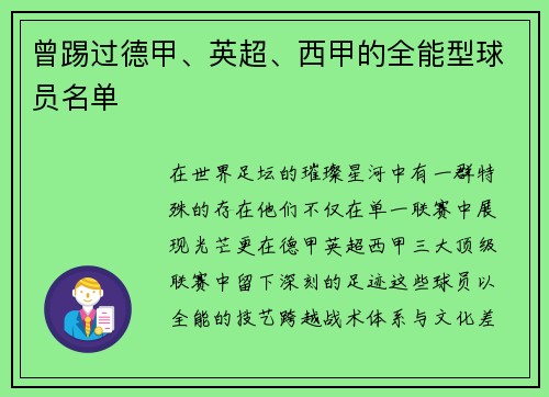 曾踢过德甲、英超、西甲的全能型球员名单